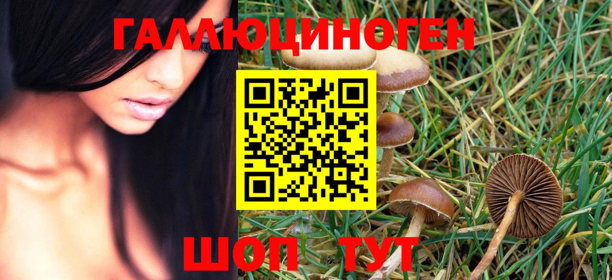 Псилоцибиновые грибы GOLDEN TEACHER Уссурийск