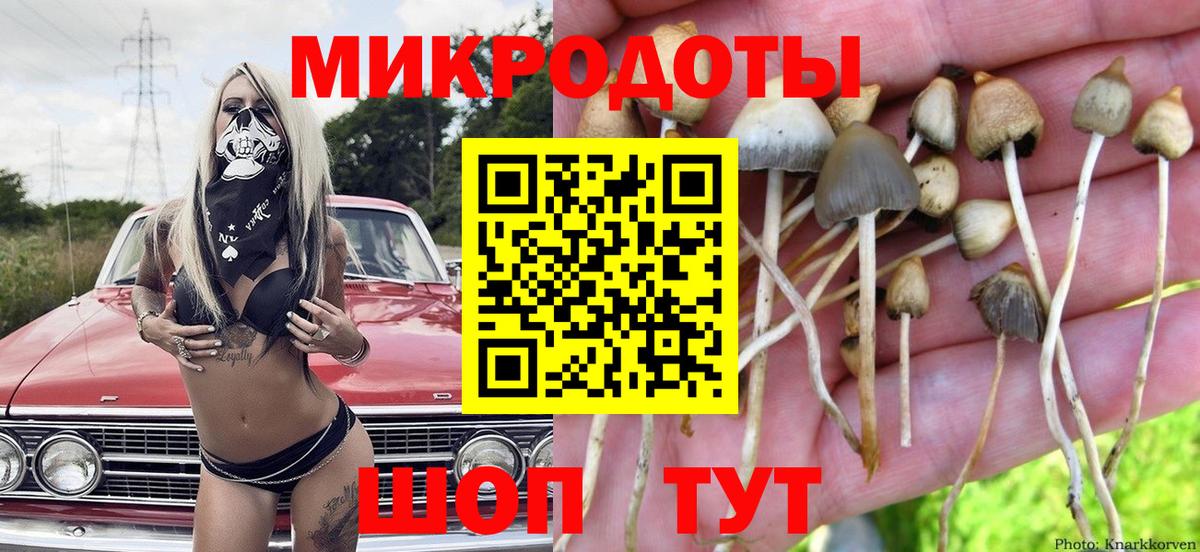 купить наркоту  Галлюциногенные грибы ЛСД  Уссурийск  Вход с VPN  Псилоцибиновые грибы мицелий 